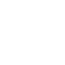 IDG